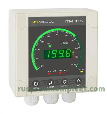 Индикатор технологический микропроцессорный ИТМ-115Т - фото